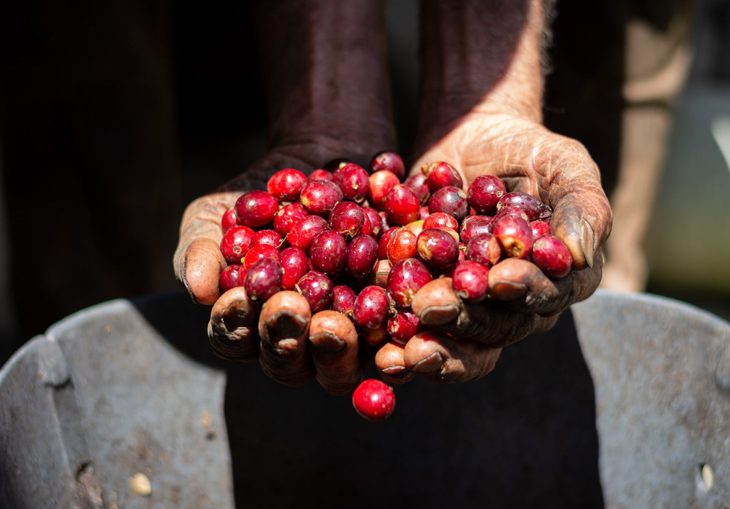 Bourbon Rosado Natural